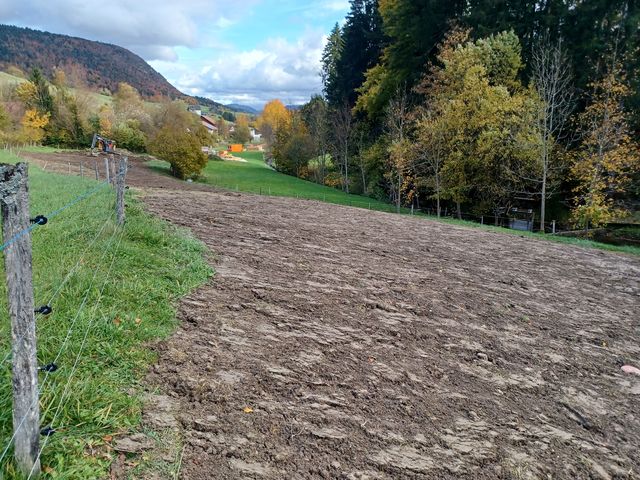 COLAS 5420 20251021 03